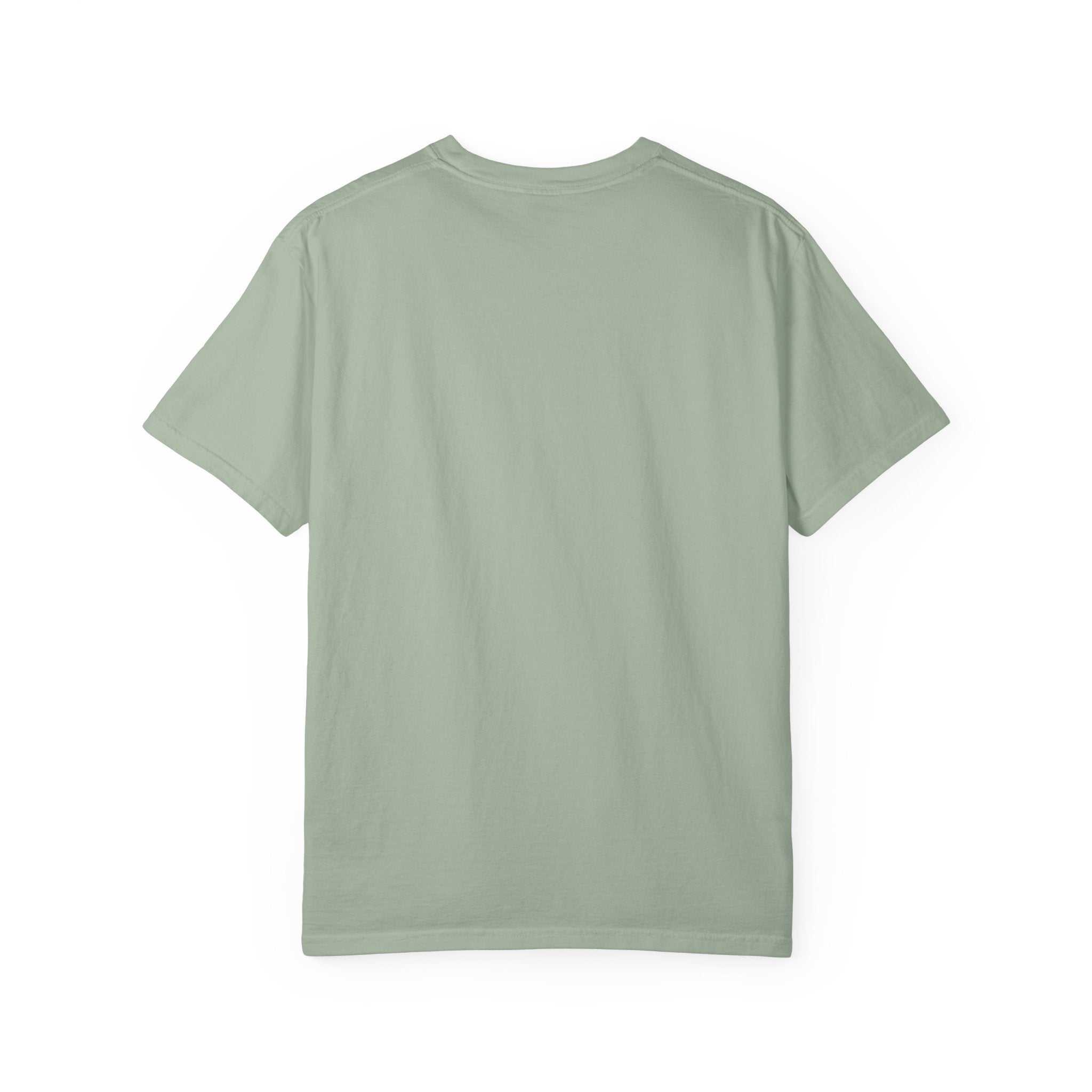 Cinco de Mayo Flamingo Squad T-shirt | Mexican Fiesta Graphic Tee
